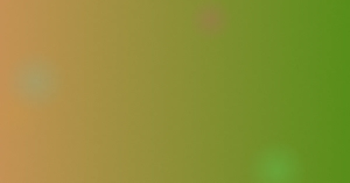 来不及说我爱你推荐指南